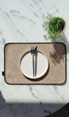 there is a fork and knife on the placemat next to a potted plant