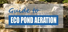 a pond with the words guide to eco pond aeraton