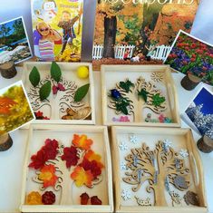 four wooden trays filled with different types of leaf shapes and pictures next to each other