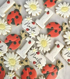 decorated cookies with ladybugs and daisies are arranged on a table top, ready to be eaten