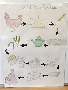 a child's drawing shows the life cycle of a chicken and its food source