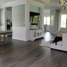 a living room filled with furniture and a dog laying on top of the couches