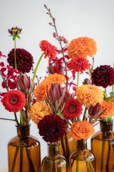 orange and red colored flowers in brown bud vases in front of white background Background Color Palette, Color Palette Autumn, Palette Autumn, Daisy James, Dark Red Maroon, Dahlias Wedding, Fall Wedding Tables, Brown Glass Bottles, Dahlia Bouquet