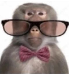 a monkey wearing glasses and a bow tie