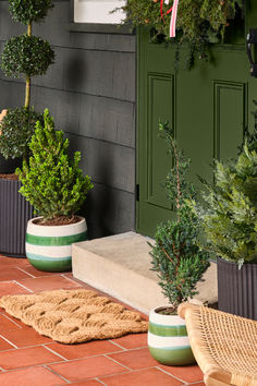 three potted plants are sitting on the front porch, next to a green door