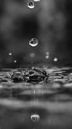 drops of water are seen in this black and white photo