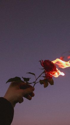 a person is holding a rose with fire in the sky behind them and there is no image here to provide a caption for