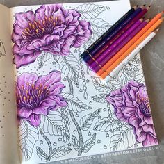 an open notebook with colored pencils next to it and some flowers on the page