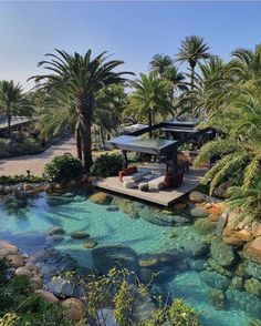 an outdoor pool surrounded by palm trees and water