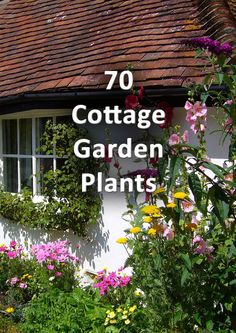 the words cottage garden plants in front of a white house with flowers growing out of it