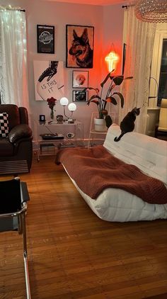 a cat sitting on top of a bed in a living room next to a window