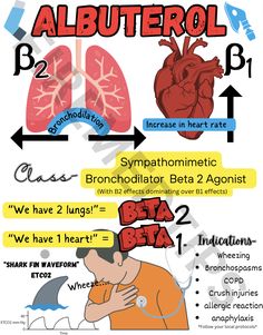 the anatomy of the heart and its functions info sheet for kids to learn how to use it