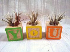 three wooden blocks with letters and plants in them