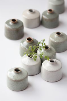 several white vases with green plants in them on a white table top next to each other