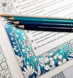 two pencils sitting on top of an adult coloring book page with flowers and leaves