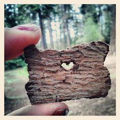 someone holding up a piece of wood with a heart cut out of it in the middle