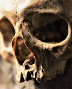 a close up of a human skull with no jaw and one eye missing from it