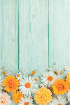 daisies and other flowers are arranged on a blue wooden background with space for text