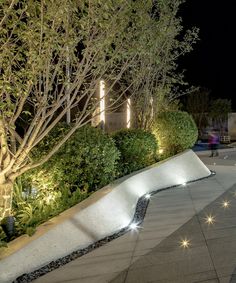 an outdoor area with trees, bushes and lights on the side of the road at night