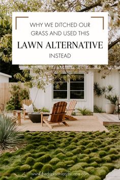 a lawn with grass in the foreground and an image of a house behind it that says, why we ditched our grass and used this lawn alternative instead