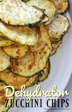 grilled zucchini chips on a white plate with the title overlay reads dehydraaton zucchini chips