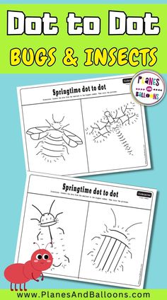 two bugs and insects worksheet for kids to learn how to draw them with the help