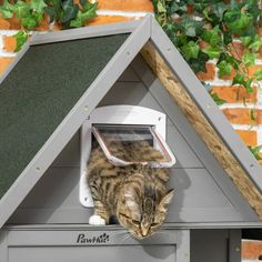 a cat sitting on top of a gray house