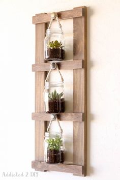 three mason jars with plants in them hanging on a wooden wall mounted shelf against a white wall