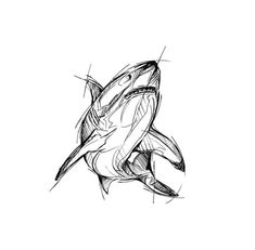 a drawing of a shark with its mouth open