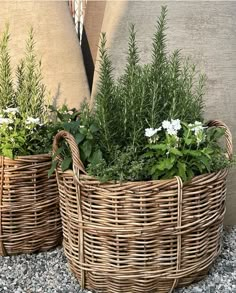 two wicker baskets filled with plants sitting on top of a gravel covered ground next to pillows