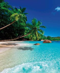 the beach is surrounded by palm trees and clear blue water, with rocks in the foreground