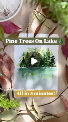 an image of pine trees on lake with the title'all in 5 minutes '