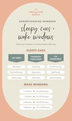 an info sheet with the words sleep cues, wake windows and sleepy guess on it