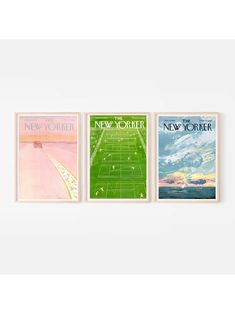 three posters on the wall showing different types of sports fields and their name, new york