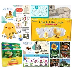 there are many different books and toys in the box on this page, including chick life cycle