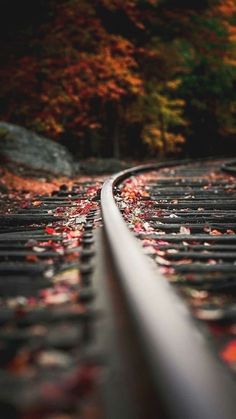 a train track with leaves on it and trees in the background