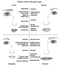 click two times for larger view Dwyn Larson, Round Eyebrows, Strong Chin, Color Analysis Summer, Straight Eyebrows, Makeup Stand, Wide Nose