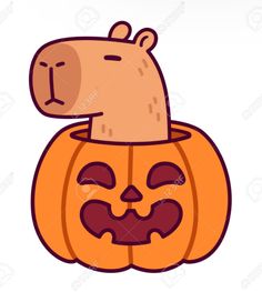 a cartoon bear in a pumpkin with its head sticking out