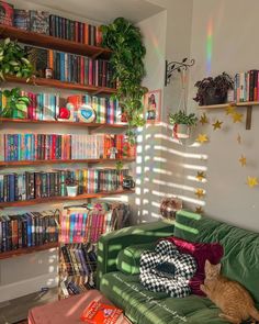 a cat sitting on top of a green couch in front of a book shelf filled with books