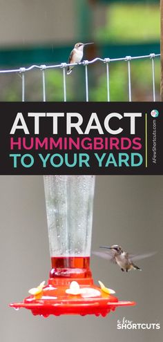 a hummingbird flying towards a feeder with the words attract hummingbirds to your yard