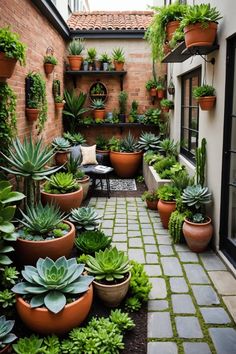 an outdoor patio with potted plants on the wall and brick walkway between two buildings