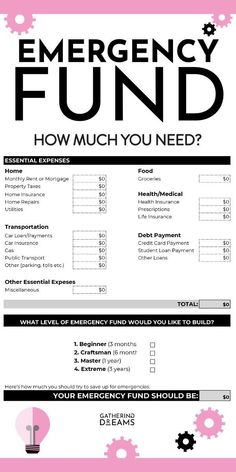 the emergency fund form is shown in pink and black