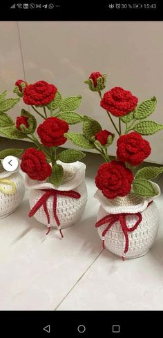 Crochet Garden, Handcrafted Decor, Flower Crochet, Crochet World, Crochet Rose, Crochet Flower Patterns, Great Ideas, Hand Embroidery Designs