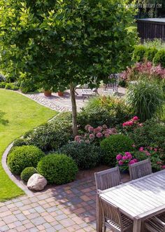 an image of a small tree in the middle of a garden with flowers and shrubs