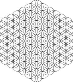 the flower of life is shown in black and white, as if it were made out of