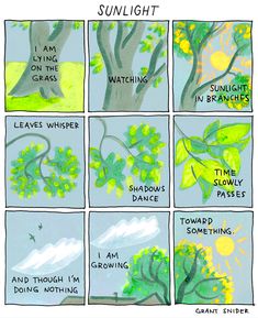 a comic strip with trees and the words sunlight