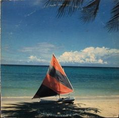 an orange and black sailboat on the beach with palm trees in the foreground