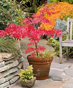 a wooden bench sitting in the middle of a garden next to a flower pot filled with red flowers