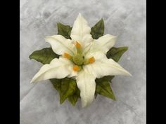 a white flower with green leaves on it