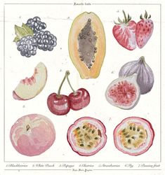 an illustration of different fruits and vegetables